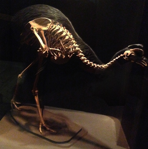 Three Dudes Who Made it to the Moon