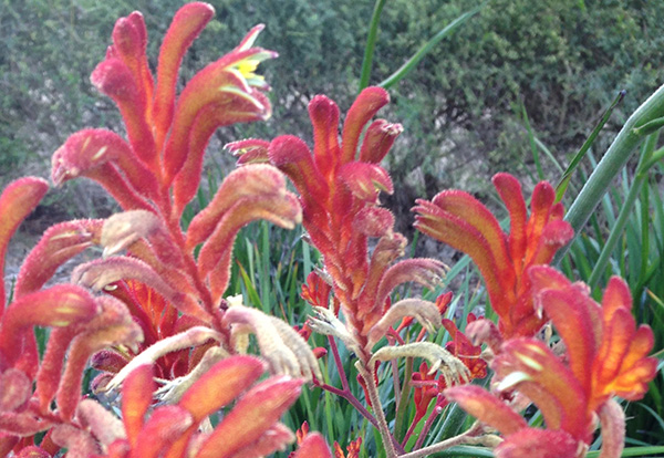 Three Dudes Who Made it to the Moon