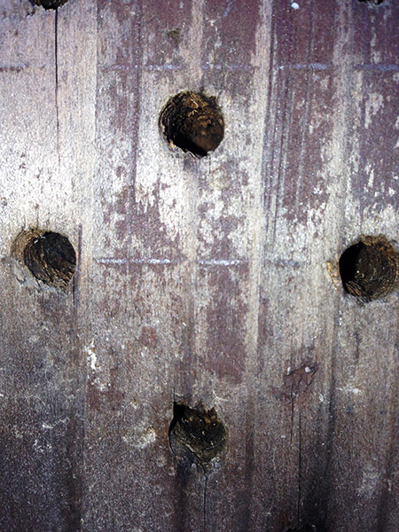 Three Dudes Who Made it to the Moon