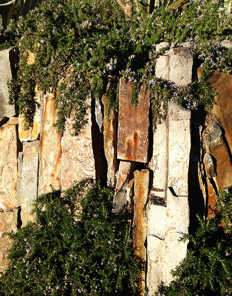 Three Dudes Who Made it to the Moon